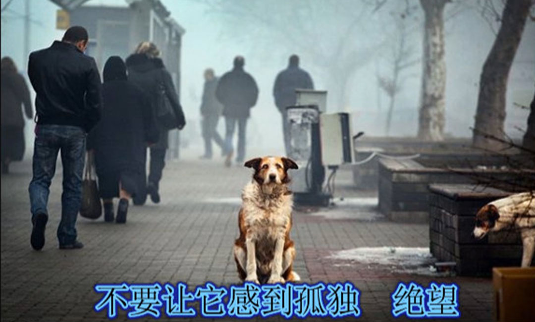 贺州贺州爱影圈微博微信转发案例